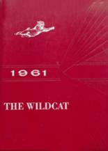 Brunswick High School 1961 yearbook cover photo