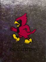2010 Boone Central High School Yearbook from Albion, Nebraska cover image