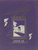 Watertown High School 1988 yearbook cover photo