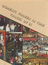 Fennville High School 1981 yearbook cover photo