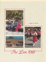 McClellan High School 1981 yearbook cover photo