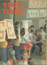 Texas High School 1981 yearbook cover photo