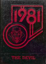 1981 Manlius High School Yearbook from Manlius, Illinois cover image