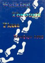 1995 Bloomington High School Yearbook from Bloomington, Wisconsin cover image