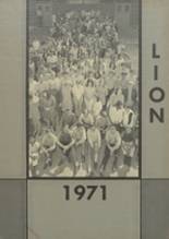 Albany High School 1971 yearbook cover photo