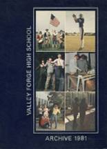 Valley Forge High School 1981 yearbook cover photo