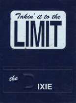 1994 Dixie High School Yearbook from St. george, Utah cover image