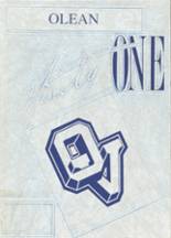 Oley Valley High School 1991 yearbook cover photo