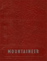 Mountain Iron High School 1947 yearbook cover photo