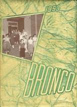 1953 Denton High School Yearbook from Denton, Texas cover image