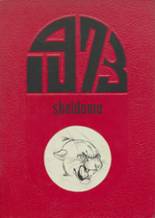 Sheldon High School 1973 yearbook cover photo