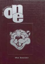 2001 St. Edward High School Yearbook from St. edward, Nebraska cover image