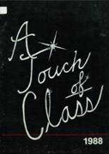 1988 Oregon High School Yearbook from Oregon, Wisconsin cover image