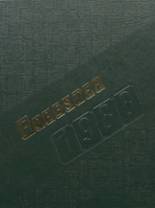 1988 Forest Hills High School Yearbook from Sidman, Pennsylvania cover image