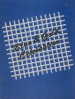 1985 Reed High School Yearbook from Sparks, Nevada cover image