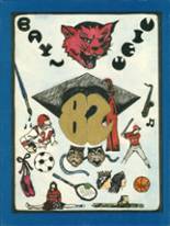 1982 Bay View High School Yearbook from Milwaukee, Wisconsin cover image