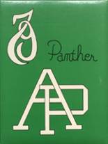 Amber-Pocasset High School 1979 yearbook cover photo