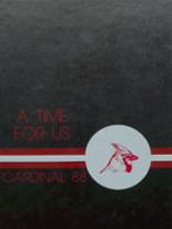 1988 Luverne High School Yearbook from Luverne, Minnesota cover image