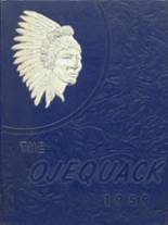 Indian River High School 1959 yearbook cover photo