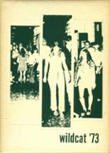 1973 Mulvane High School Yearbook from Mulvane, Kansas cover image