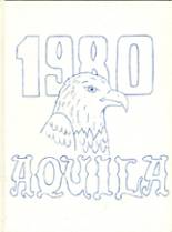 Downsville Central High School 1980 yearbook cover photo