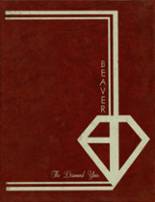 1980 Bluefield High School Yearbook from Bluefield, West Virginia cover image