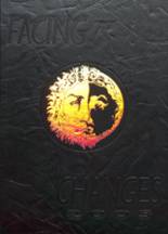 2003 Springtown High School Yearbook from Springtown, Texas cover image