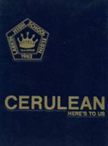 Larkin High School 1985 yearbook cover photo