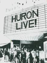 Huron High School 1981 yearbook cover photo