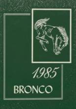 Stephen F. Austin High School 1985 yearbook cover photo