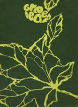 1967 Mt. Pleasant High School Yearbook from Wilmington, Delaware cover image