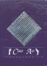 1993 Rye High School Yearbook from Rye, Colorado cover image
