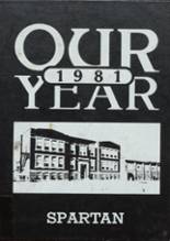 1981 Sheffield-Chapin High School Yearbook from Sheffield, Iowa cover image