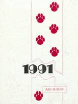 Hamilton High School 1991 yearbook cover photo