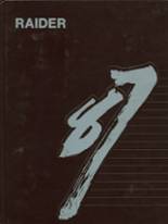 1987 Cottonwood High School Yearbook from Cottonwood, Minnesota cover image