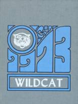 White Plains High School 1973 yearbook cover photo