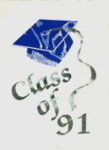 North Babylon High School 1991 yearbook cover photo