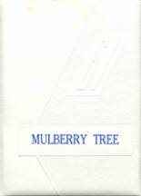 Mulberry High School 1961 yearbook cover photo