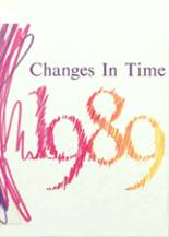 Avon High School 1989 yearbook cover photo