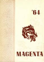 Winneconne High School 1964 yearbook cover photo