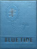 1965 Ludowici High School Yearbook from Ludowici, Georgia cover image