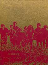 Harrisburg High School 1973 yearbook cover photo