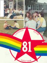 Dawson County High School 1981 yearbook cover photo