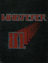 Wadsworth High School 1981 yearbook cover photo