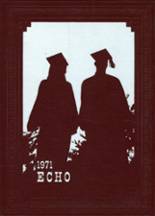 1971 Tremont High School Yearbook from Tremont, Illinois cover image