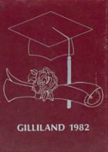 Central High School 1982 yearbook cover photo