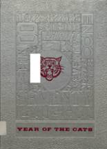 1978 Atoka High School Yearbook from Atoka, Oklahoma cover image