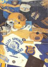1989 Berkeley Springs High School Yearbook from Berkeley springs, West Virginia cover image