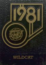 Mogadore High School 1981 yearbook cover photo