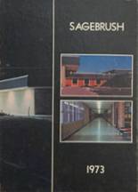 1973 Brush High School Yearbook from Brush, Colorado cover image